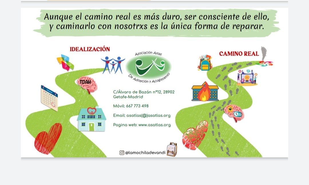 Adopción camino ideal vs real